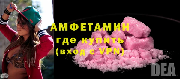 индика Вяземский