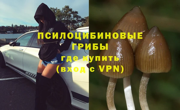 кристаллы Новозыбков