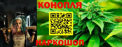кокаин Гатчина