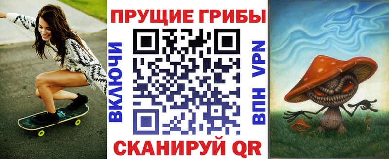 где найти   Заводоуковск  Псилоцибиновые грибы мицелий 