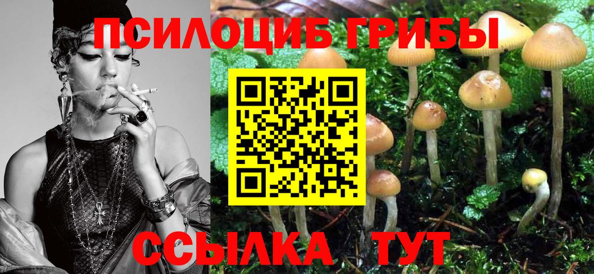 Псилоцибиновые грибы MAGIC MUSHROOMS Заводоуковск