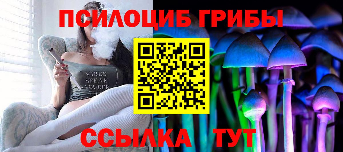 Псилоцибиновые грибы мухоморы Заводоуковск